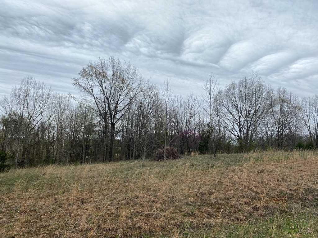 Lots Cline Road & Mustang Dr, Scottsville, KY 42164 Trulia