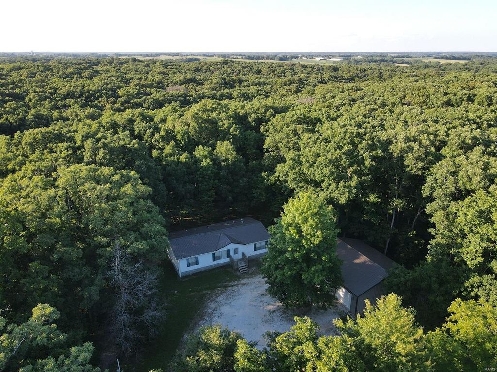 46182 State Highway V Spur, Rutledge, MO 63563