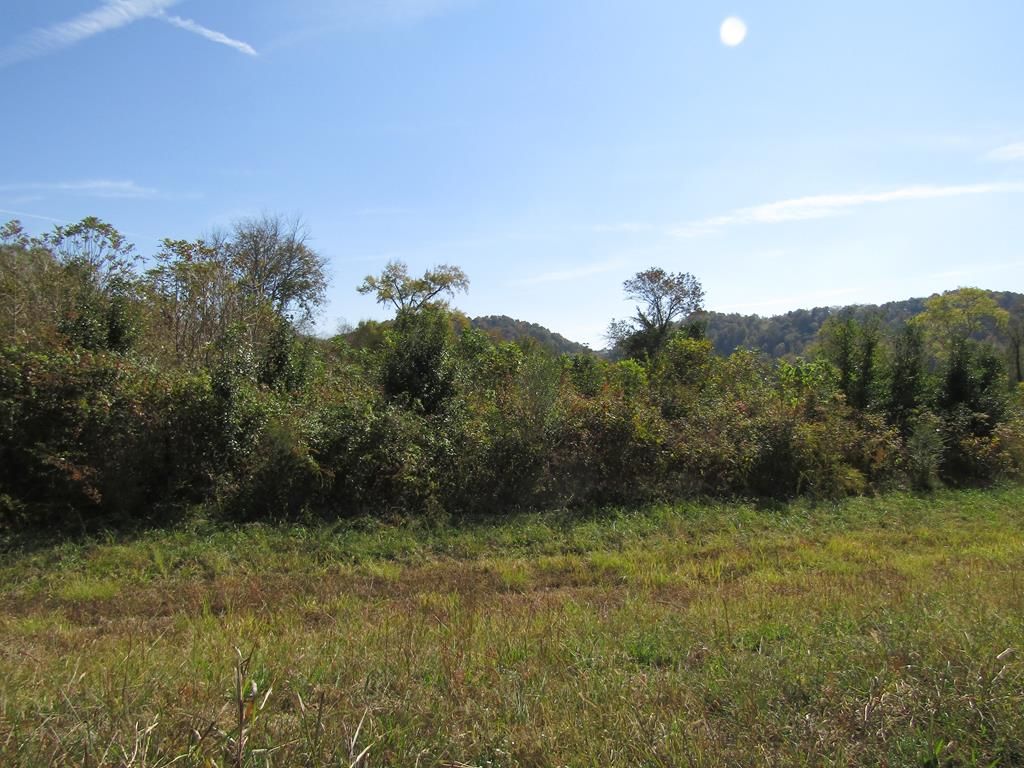 Water plant Rd, Celina, TN 38551 Trulia