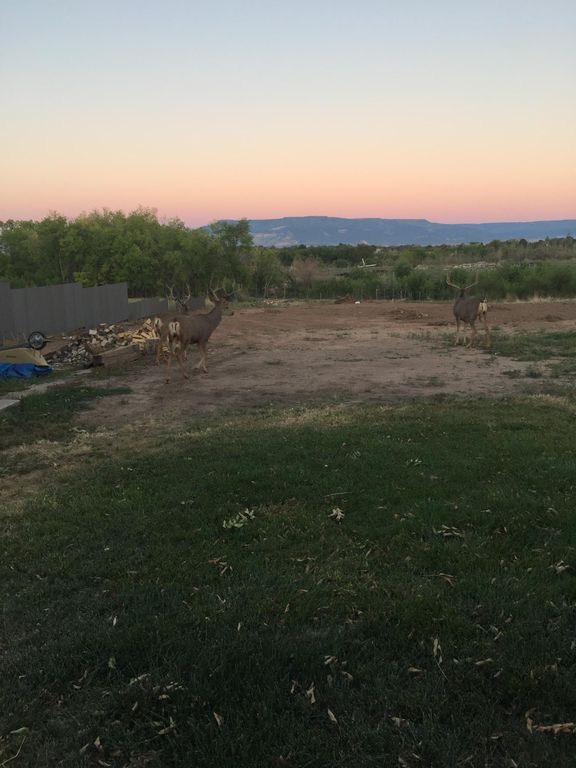 310 S Redlands Rd, Grand Junction, CO 81507 Trulia