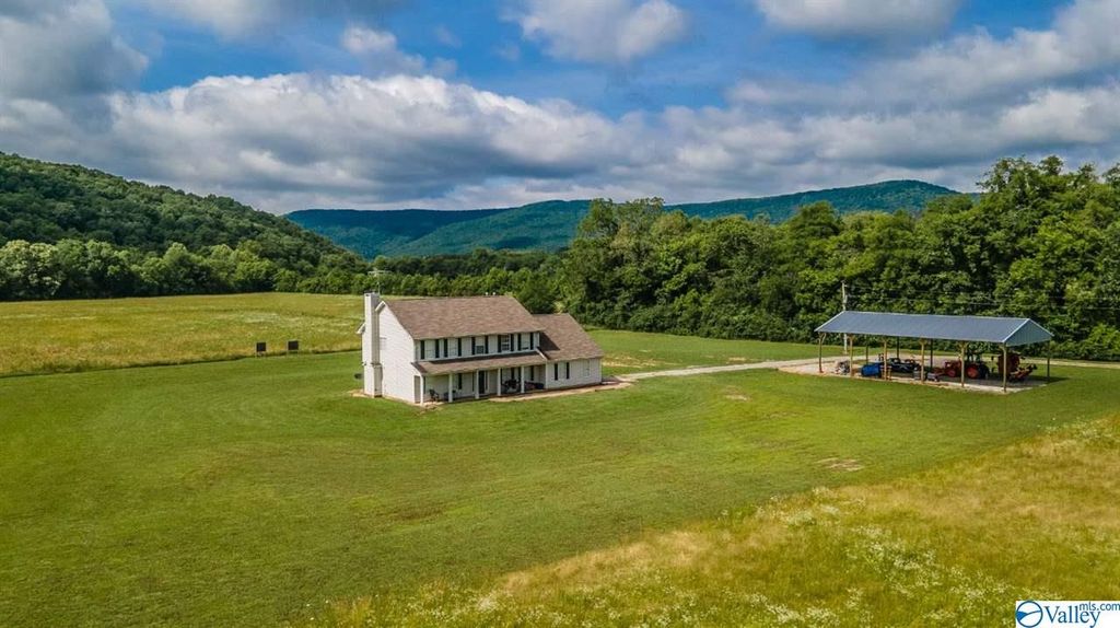 778 County Road 12, Hollytree, AL - 4 Bed, 3 Bath Single-Family Home