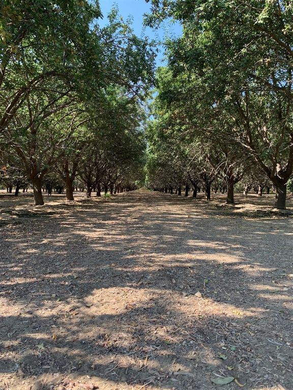 24800 W Dorris Ave, Coalinga, CA 93210