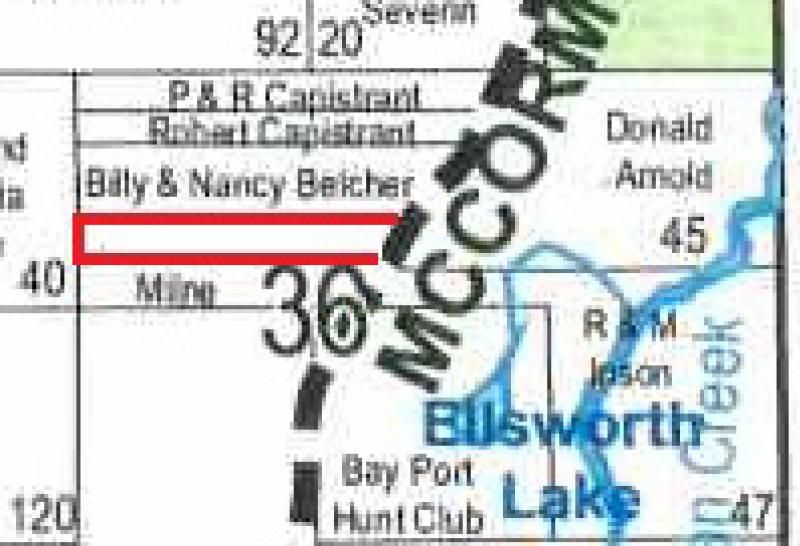 McCormick Lake Rd, Atlanta, MI 49709 Trulia