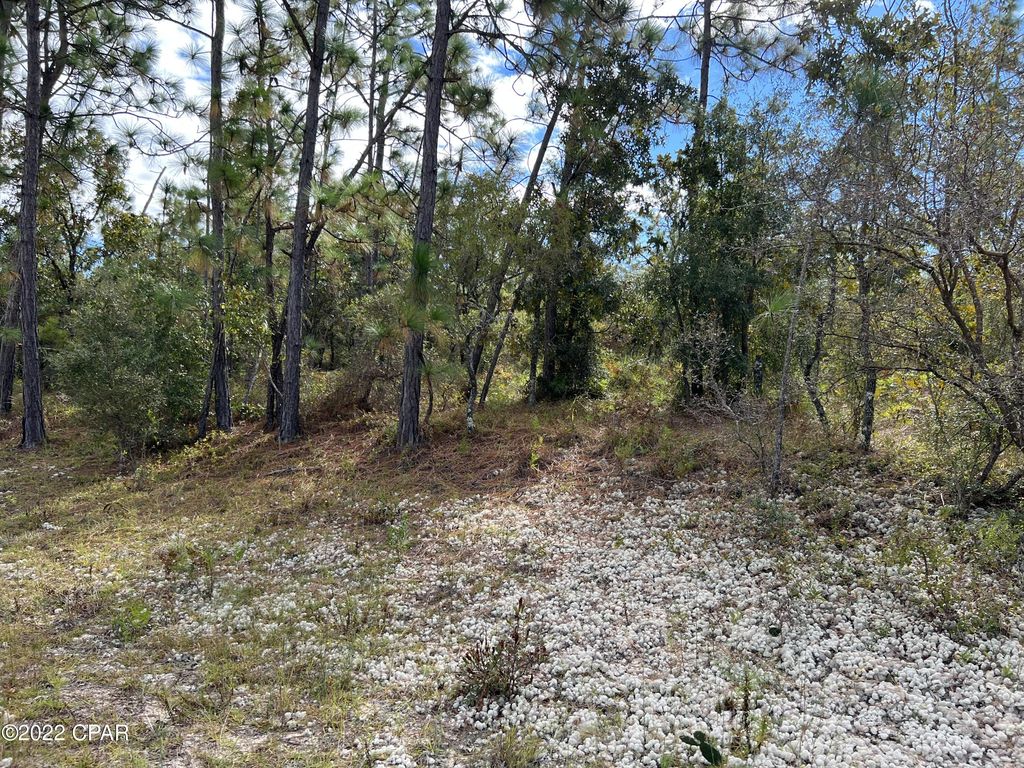 Castillo Dr, Alford, FL 32420 Trulia