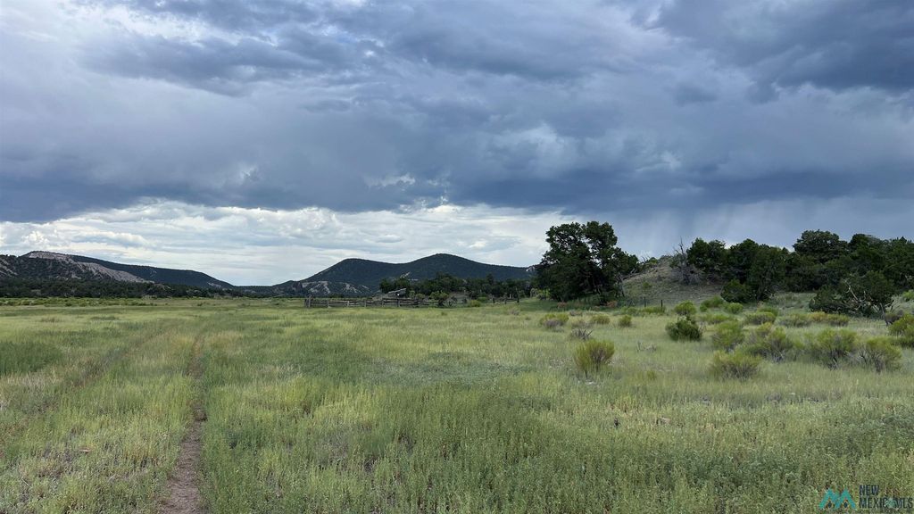 State Highway 603 Rd, Quemado, NM 87829