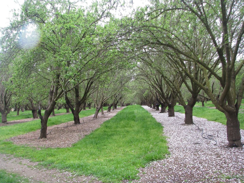 16275 Jensen Ln, Esparto, CA 95627 Trulia