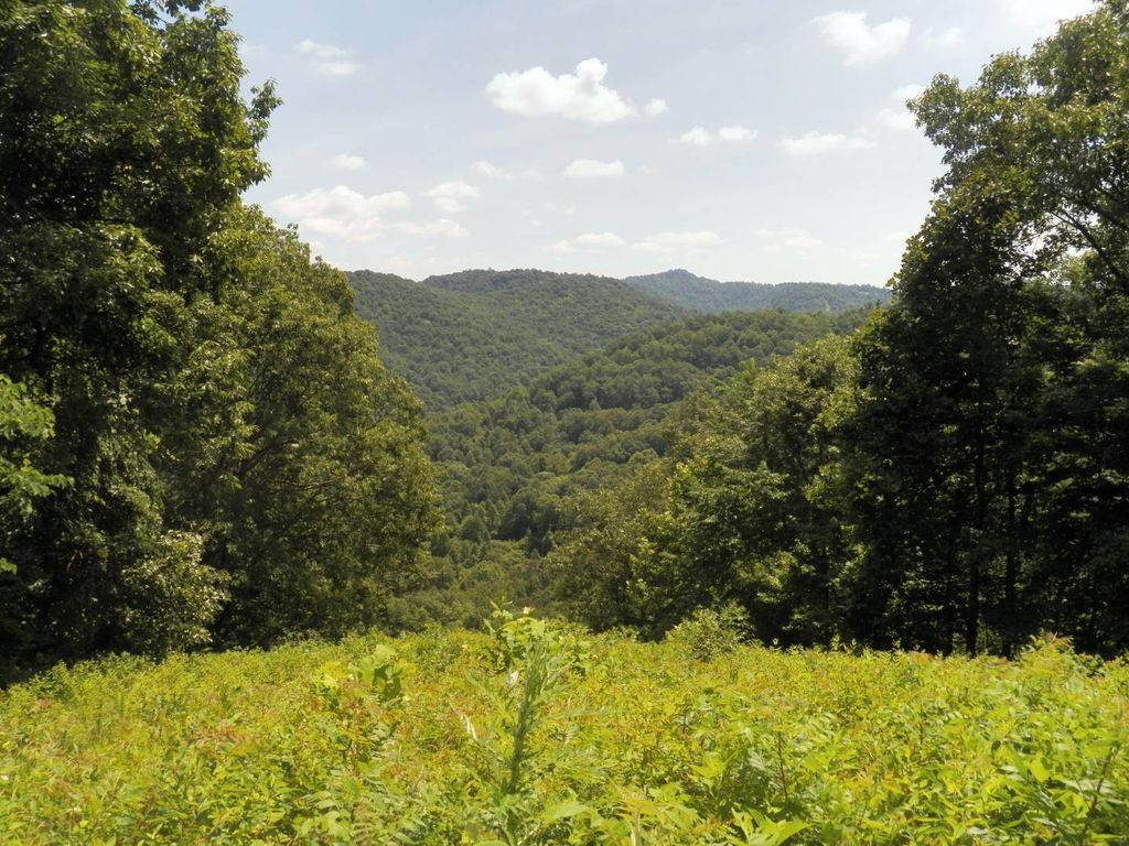 21484 S Calhoun Hwy, Minnora, WV 25268 Trulia