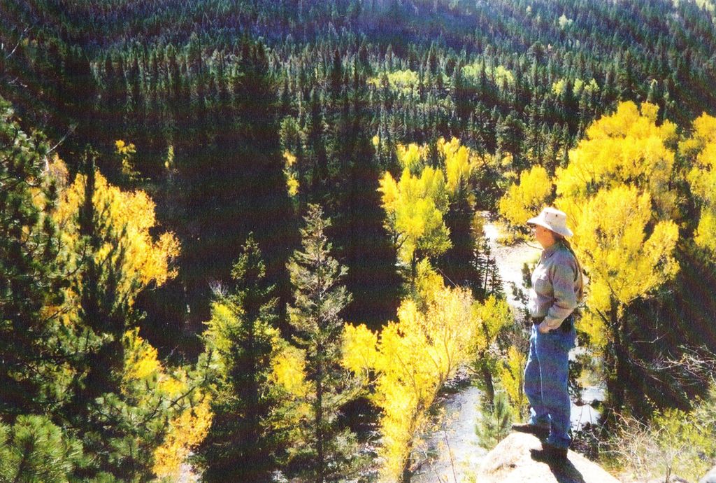 Lot 126 Bear Creek, Antonito, CO 81120 Trulia