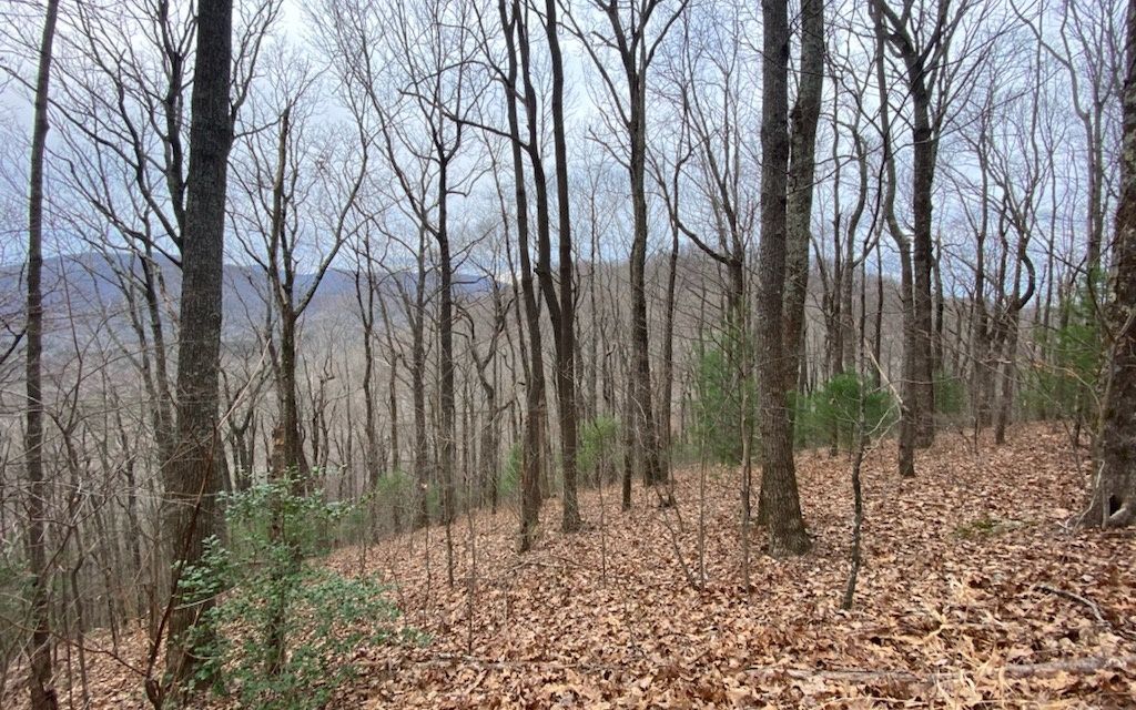 11 Big Creek Rd, Ellijay, GA 30536 Trulia