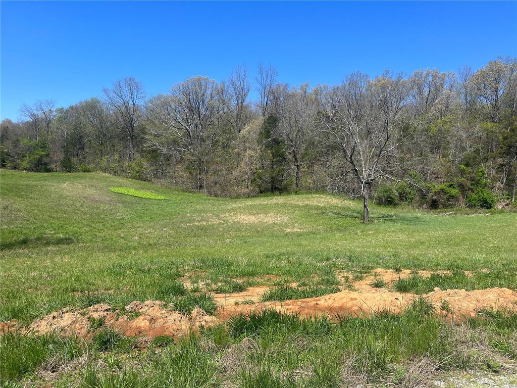 8 County Road 528, Fredericktown, MO 63645