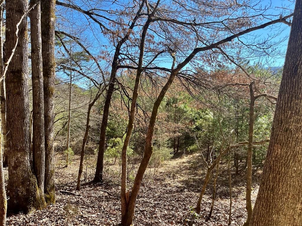 Patton Rd, Franklin, NC 28734 Trulia