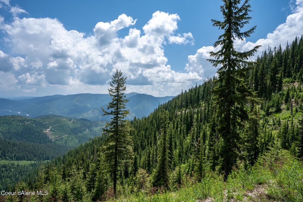 Nka Daisy Gulch Rd, Mullan, ID 83846 Trulia