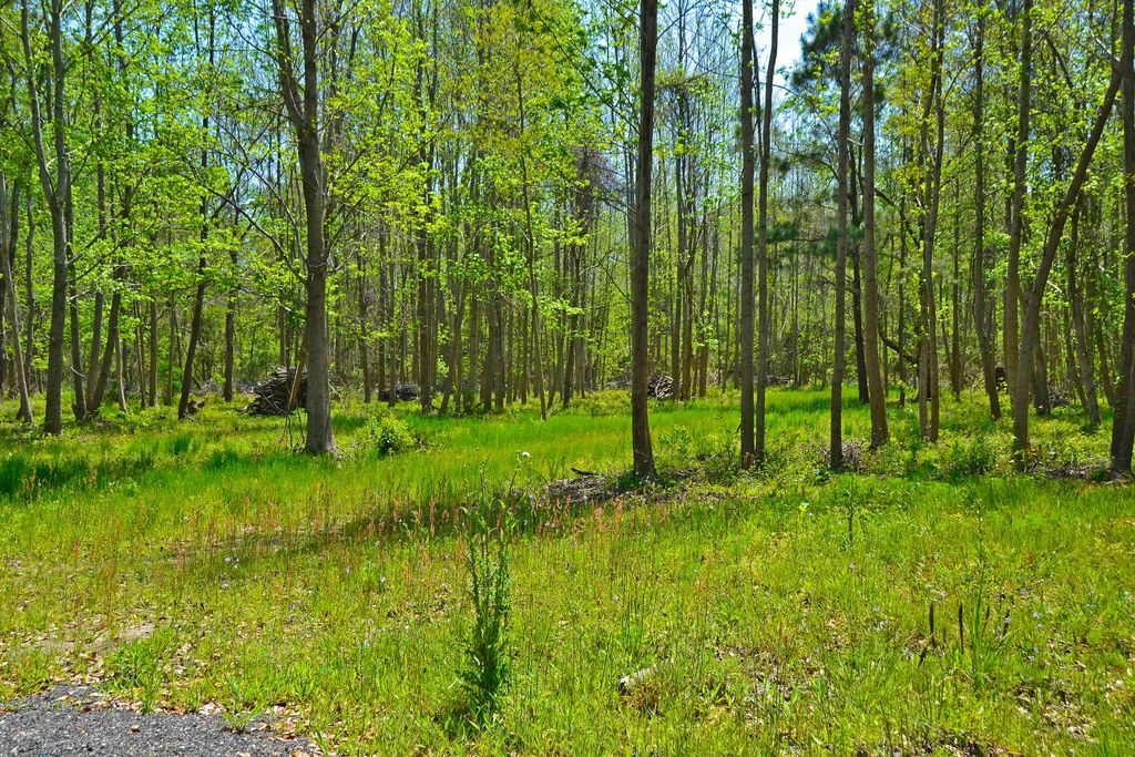 Ashe Brown Trac 2, Adams Run, SC 29426 Trulia