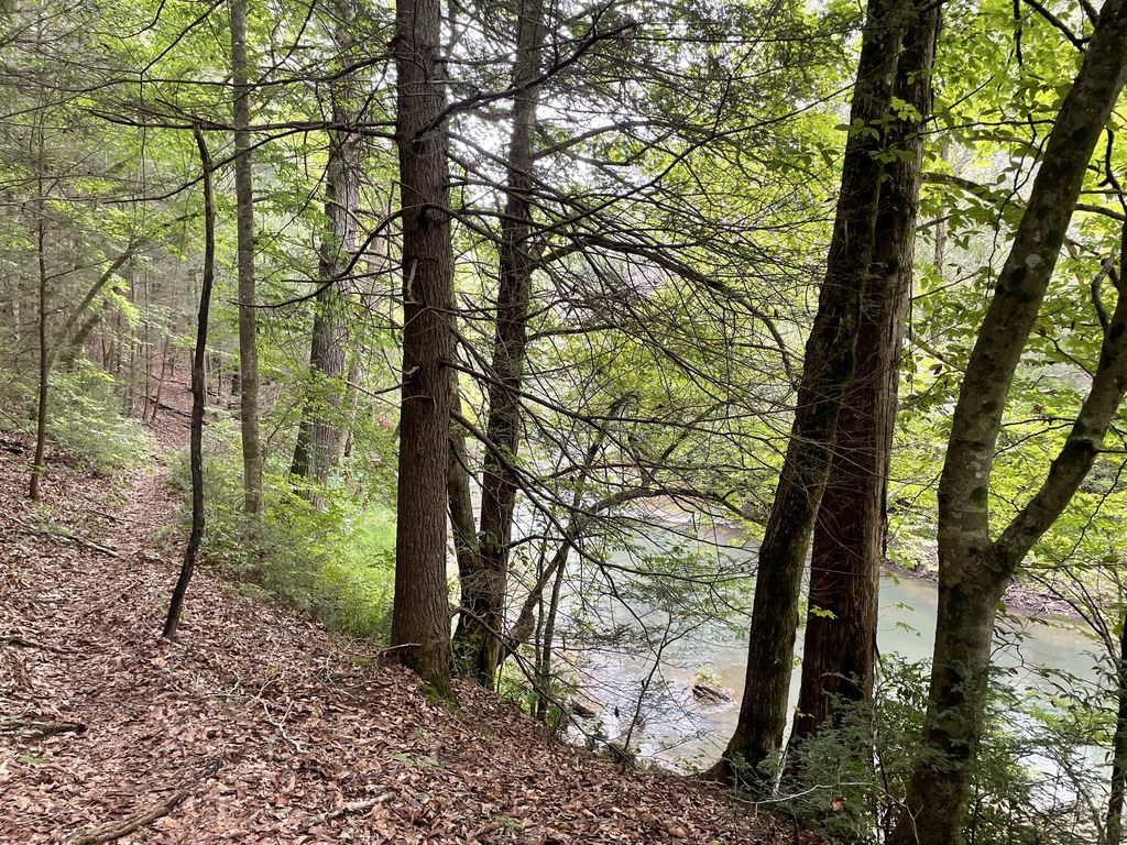 Sequatchie Rd W, Pikeville, TN 37367 Trulia