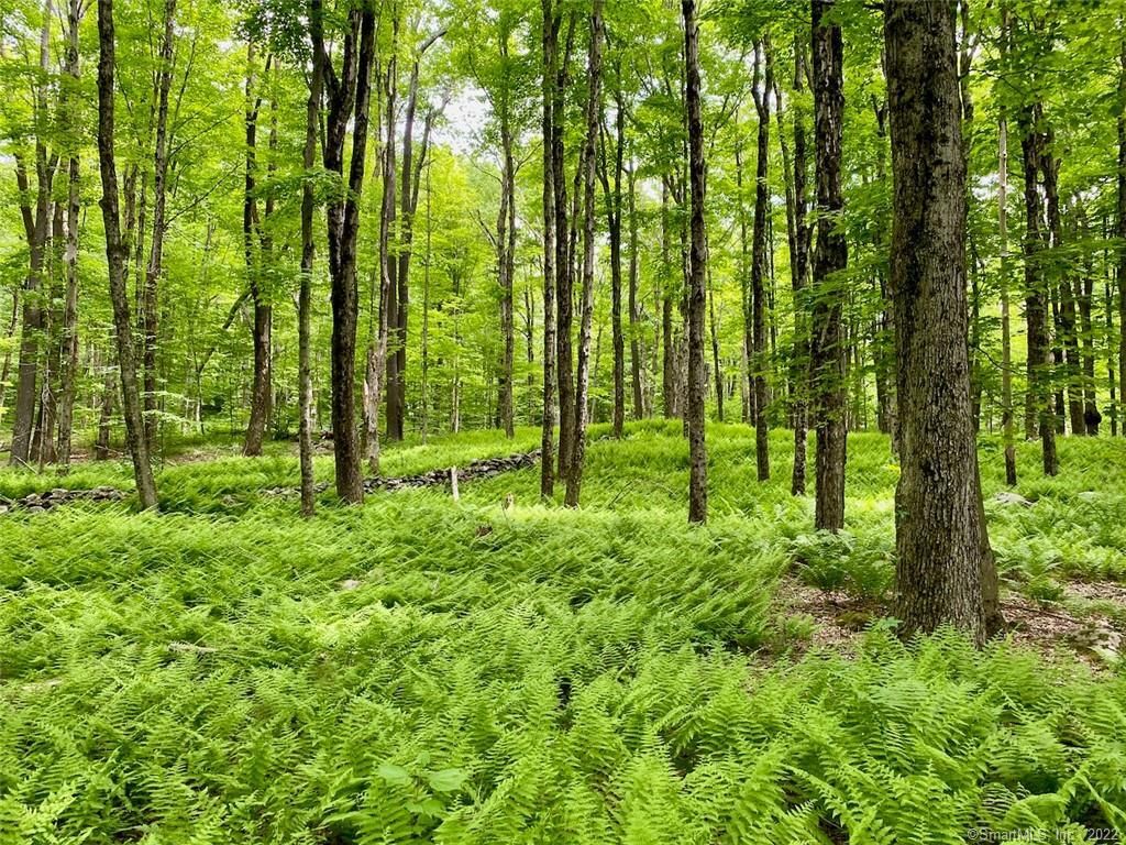 Day Rd, Cornwall, CT 06753 Trulia