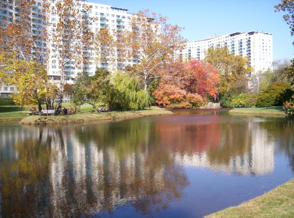 10500 Rockville Pike #1415, Rockville, MD 20852