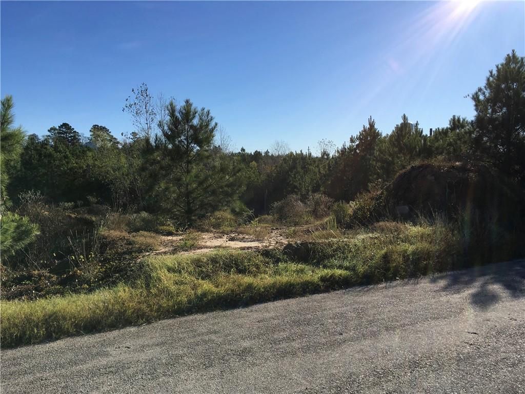 127 S Buckhorn Dr, Bastrop, TX 78602