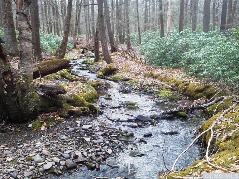 White Birch Ln, Kerhonkson, NY 12446 Trulia