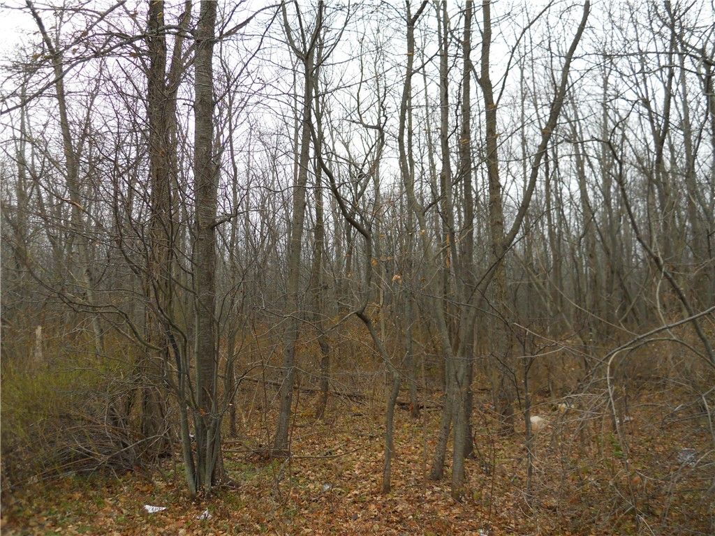 Schlegel Rd, ster, NY 14580 MLS R1478482 Trulia