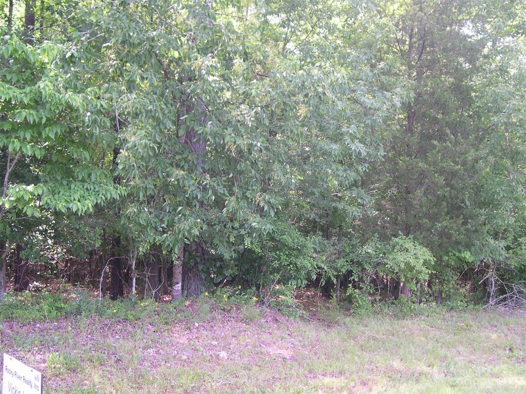 Pekin Rd 2, Candor, NC 27229 Lot/Land for Sale MLS 4043984