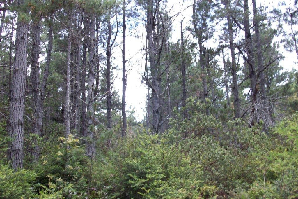 45400 Bill Owens Rd, Point Arena, CA 95468 Trulia