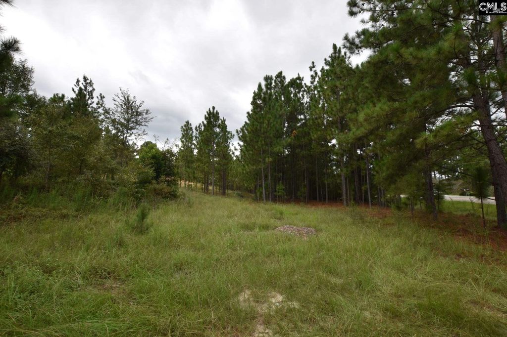 Fish Hatchery Rd, Gaston, SC 29053 Trulia