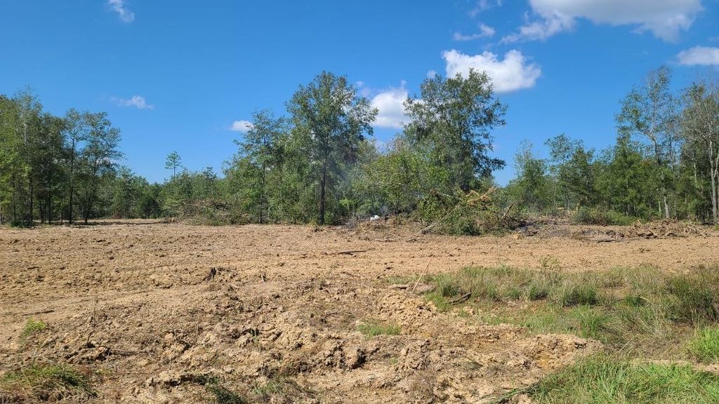 15492 Southern Ln, Sour Lake, TX 77659 MLS 244720 Trulia