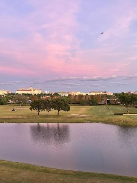 3300 W Rolling Hills Cir #601, Davie, FL 33328