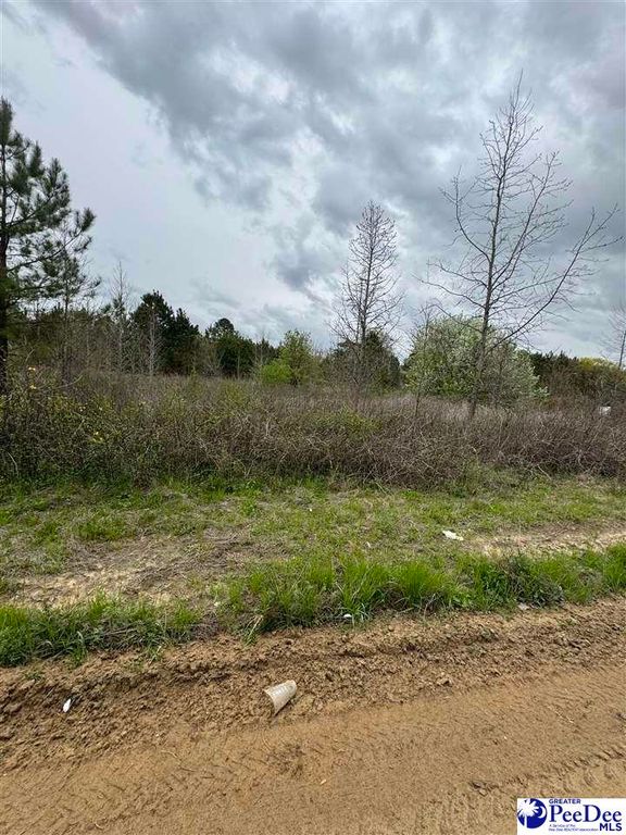 852 Norwood Rd, Olanta, SC 29114 Trulia