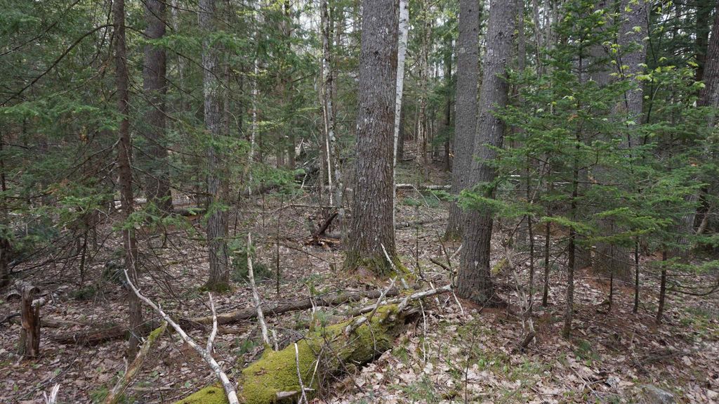 00 Mt Ida Road UNIT 271, Woodsville, NH 03785 MLS 4998446 Trulia