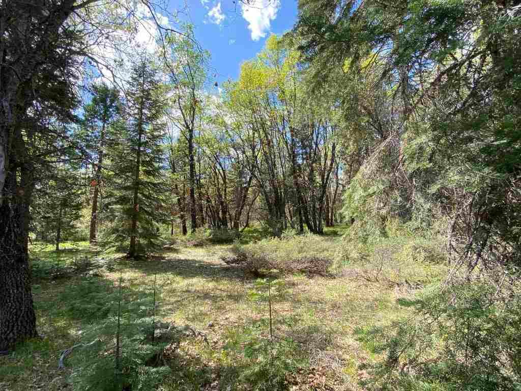 1D2 Mount Shasta Dr, McCloud, CA 96057 Trulia