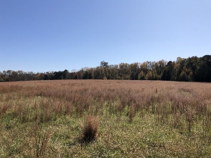 6666.28 Cattle Barn Rd, Monroe, GA 30655 Trulia