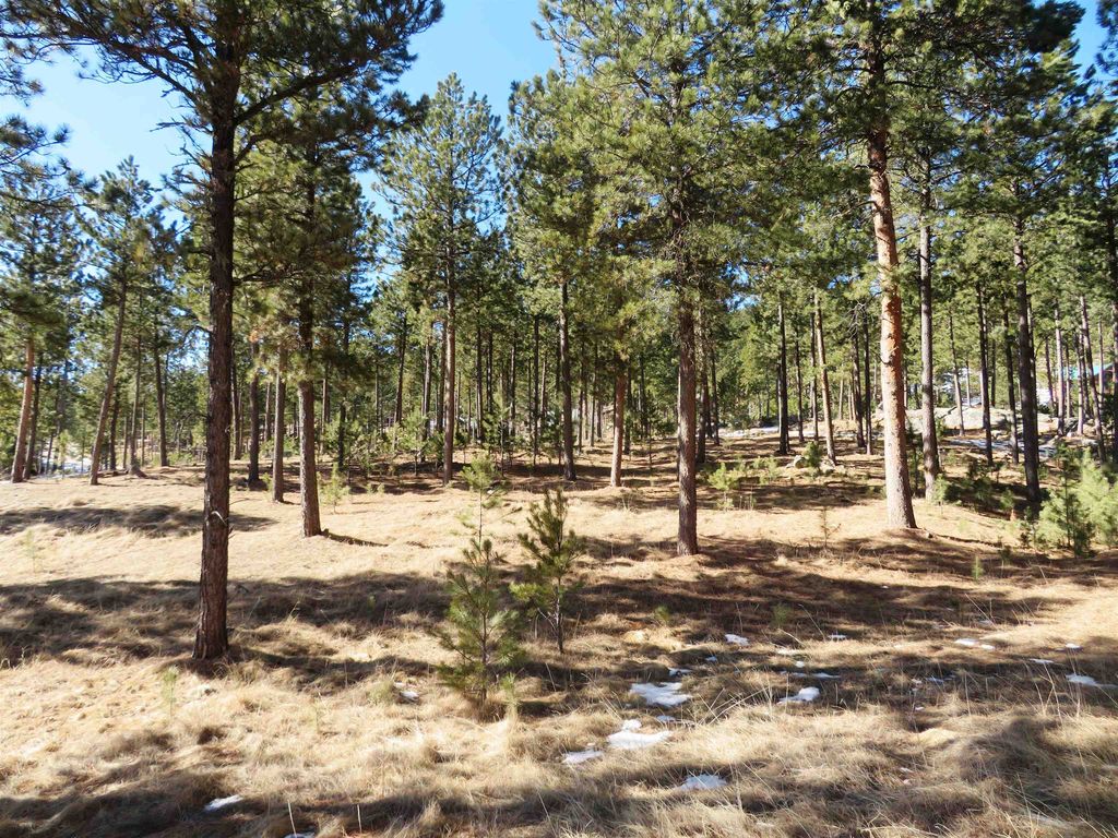 Laramie Trl, Custer, SD 57730 Trulia