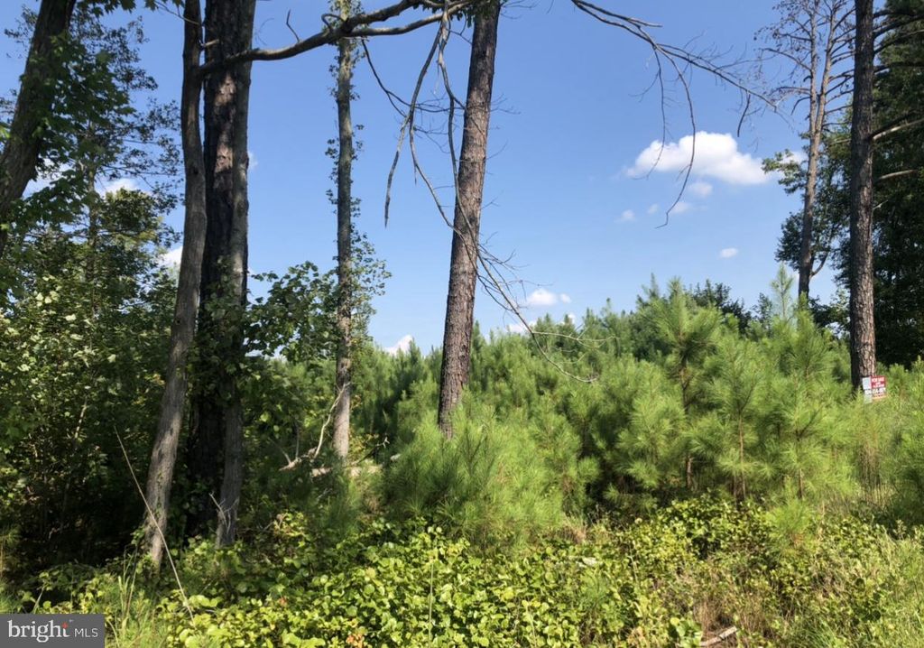 Dawn Blvd, Hanover, VA 23069 Trulia