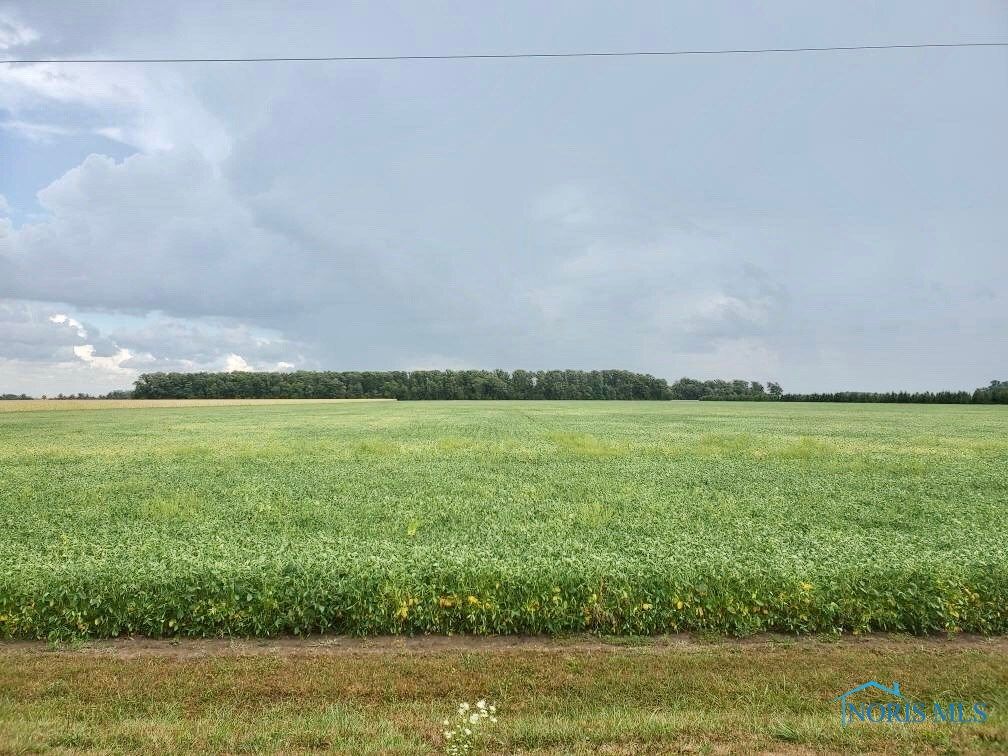 County Rd 5, Hamler, OH 43524 Trulia