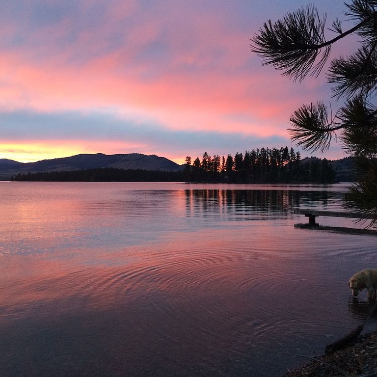 41666 Melita Island Rd, Polson, MT 59860 Trulia