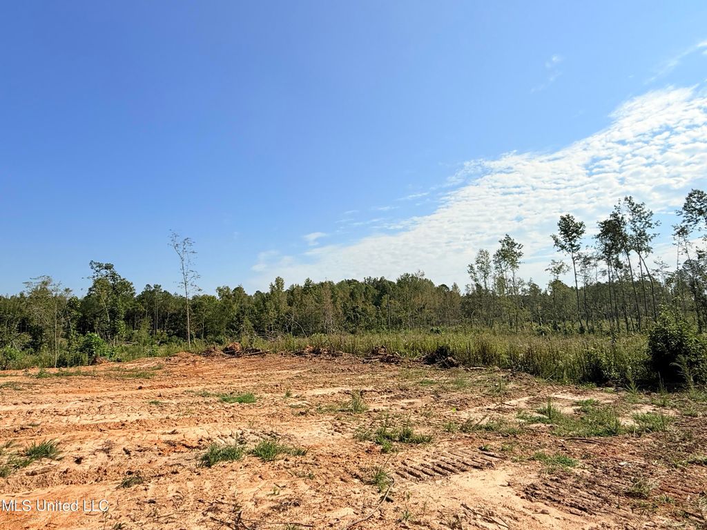 County Road 231, Mantee, MS 39751 Lot/Land for Sale MLS 4092791