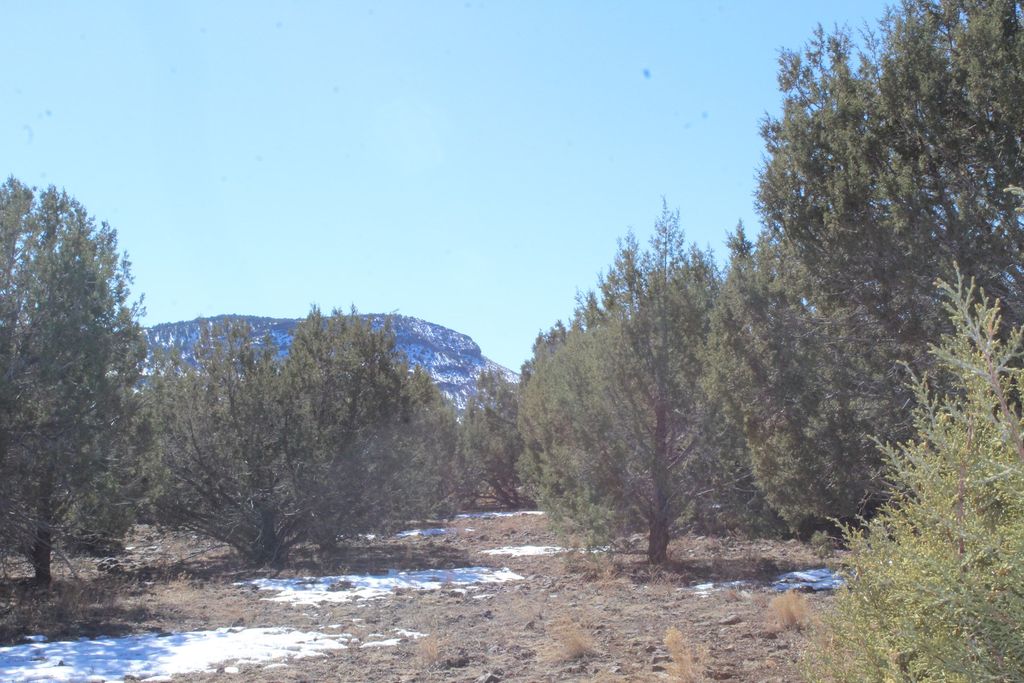 Lot 301 Westwood Ranches, Seligman, AZ 86337 Trulia