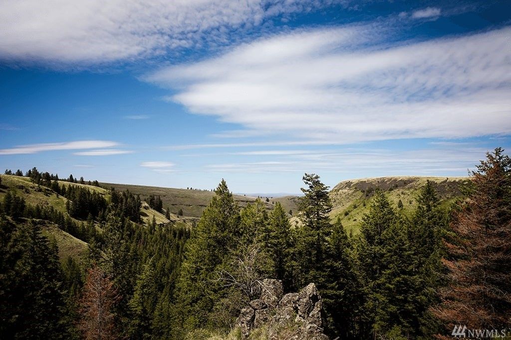 28544 Cloverland Rd, Asotin, WA 99402 Trulia