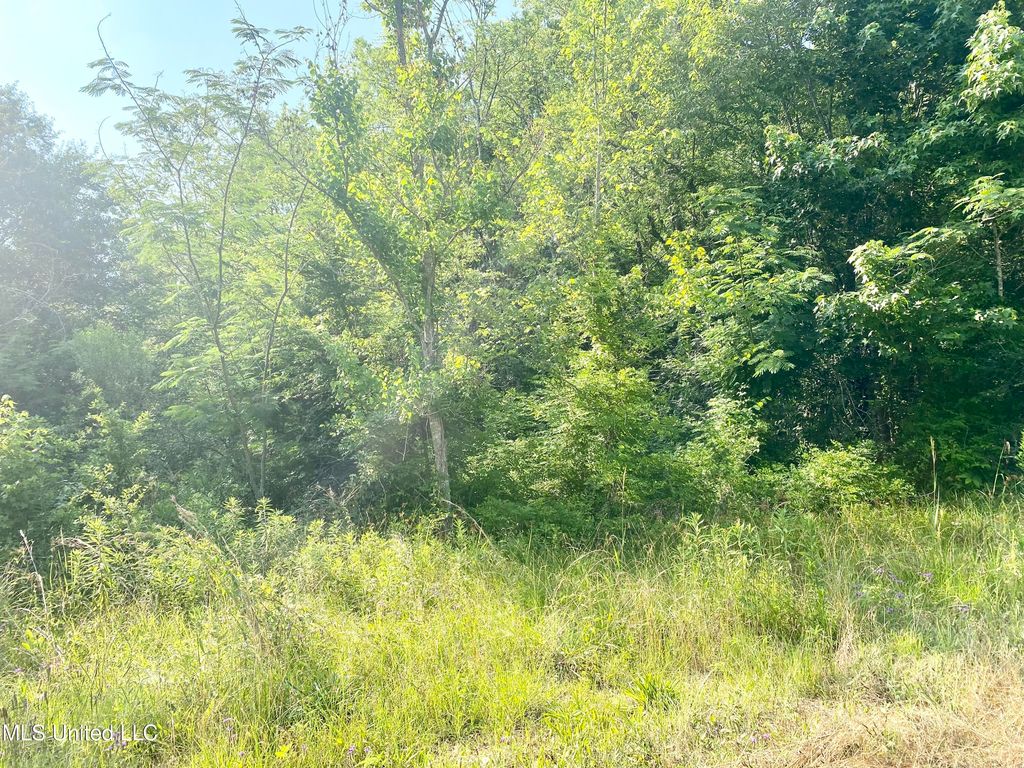 W Railroad Ave S, Crystal Springs, MS 39059 Trulia