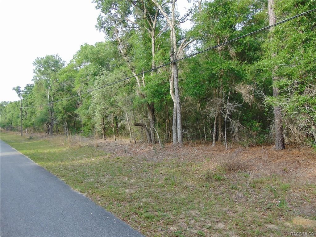 2656 N Leesburg Ave, Hernando, FL 34442 Trulia