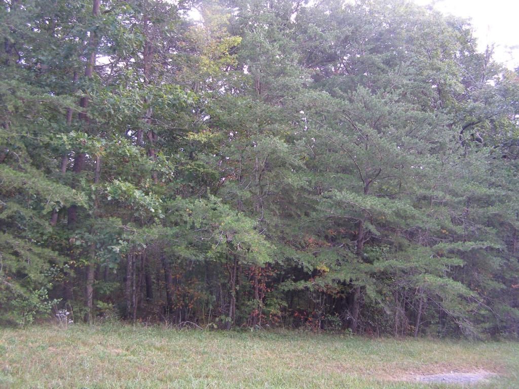 Cumberland lakes Dr, Monterey, TN 38574 Trulia
