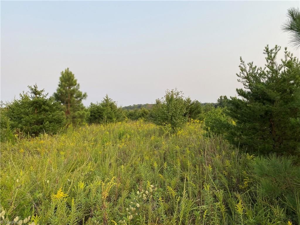 1731 Sandy Cross Rd, REIDSVILLE, NC 27320 Trulia