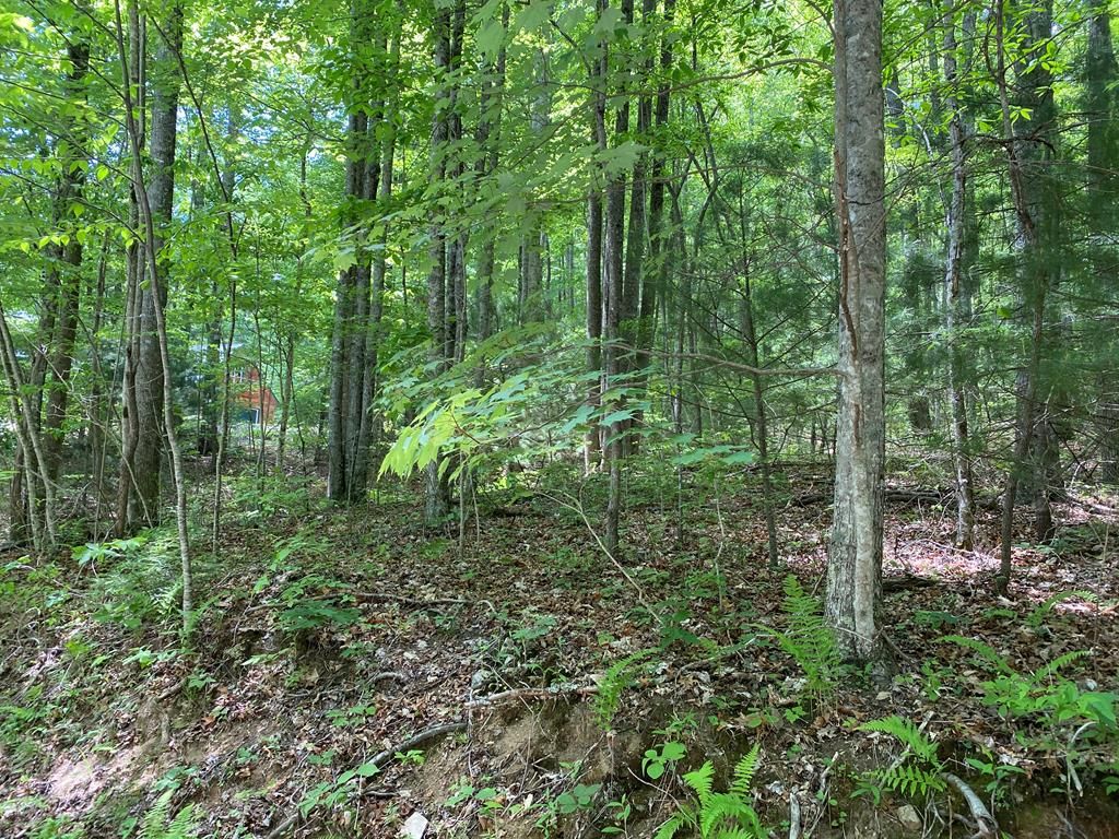 7 Skyler Ln, Byrdstown, TN 38549 Trulia