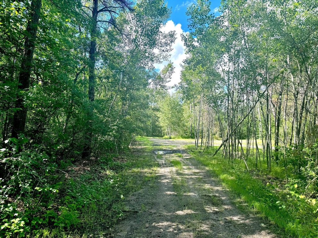 TRACT 24th Ave SW A, Backus, MN 56435 MLS 6562038 Trulia