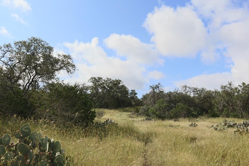 Private Road 2491, Hondo, TX 78861