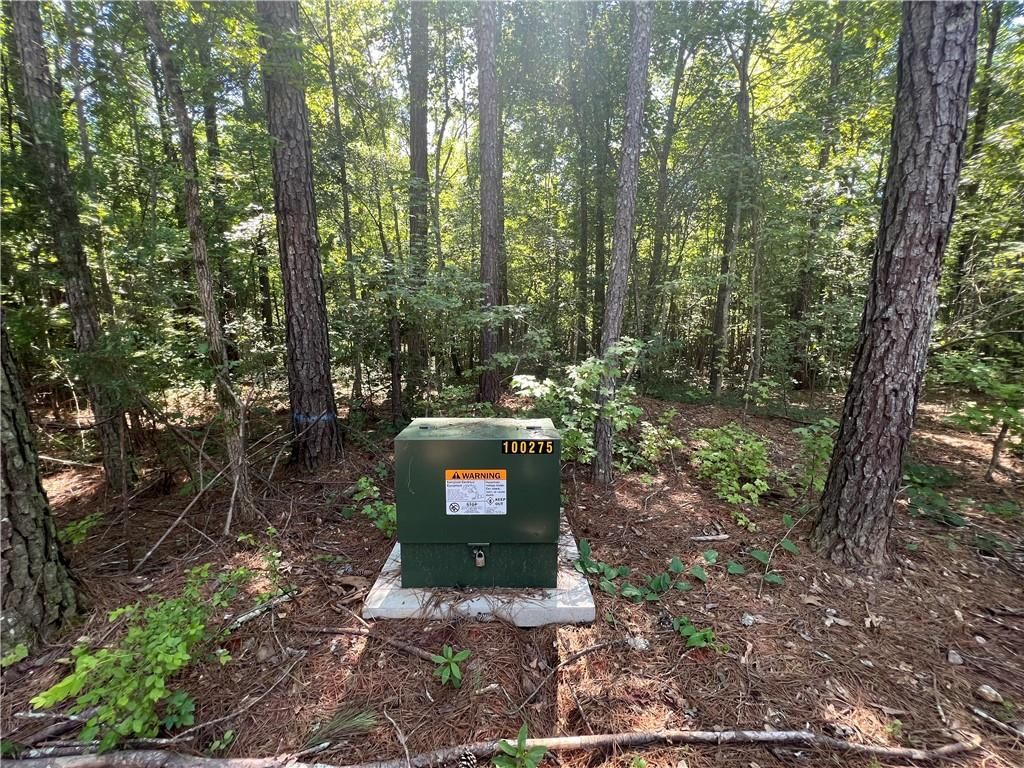 Highway 186, Good Hope, GA 30641 Trulia