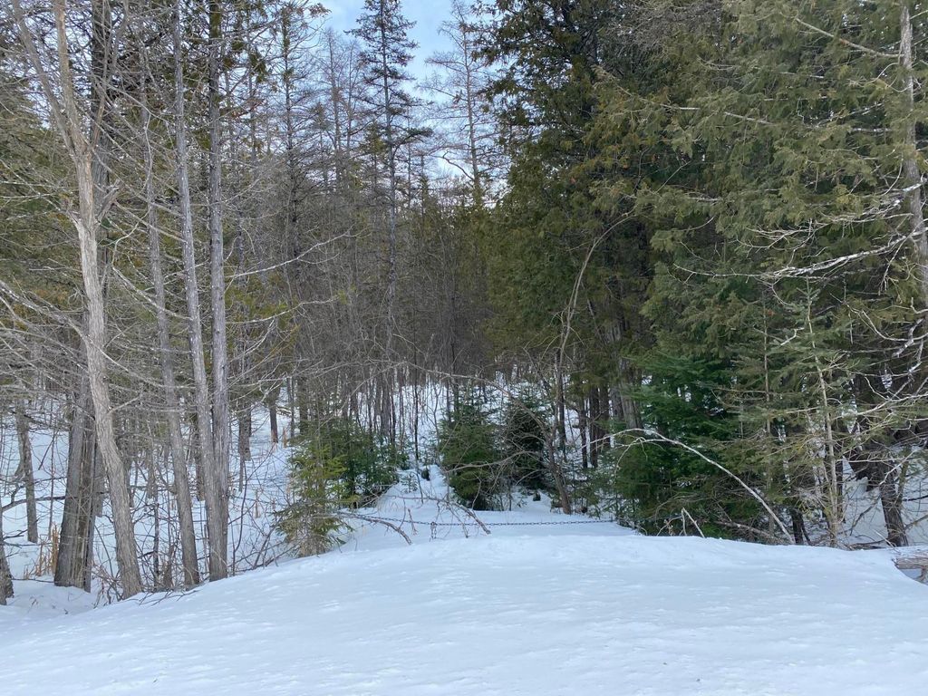 Mackinac Trl, Saint Ignace, MI 49781 See Estimated Value