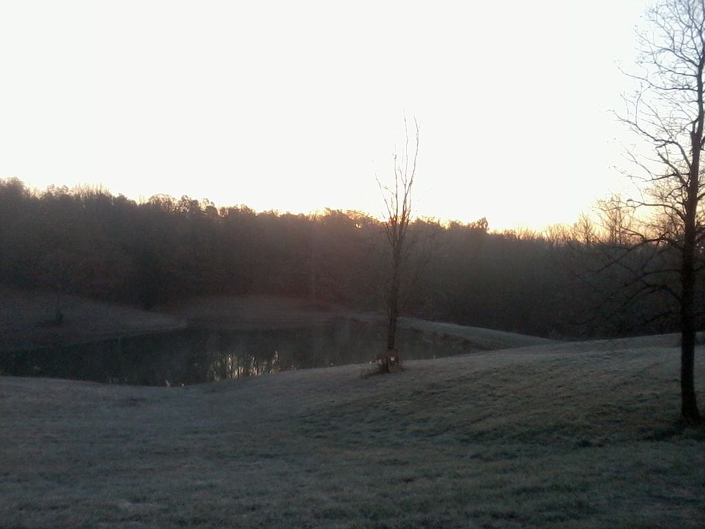 985 Schaefer Camp Rd, Hawesville, KY 42348