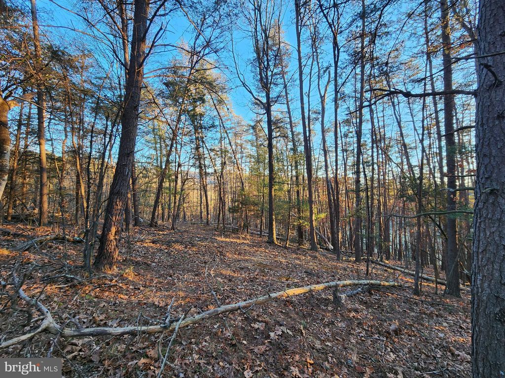 Lot 30 Rivermont View Rd, Rio, WV 26755 MLS WVHD2001274 Trulia